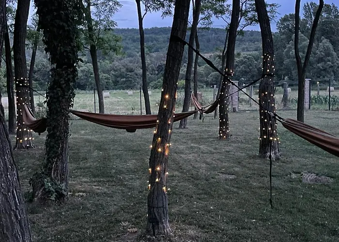 Csomopont Csaladi Vendeghaz *